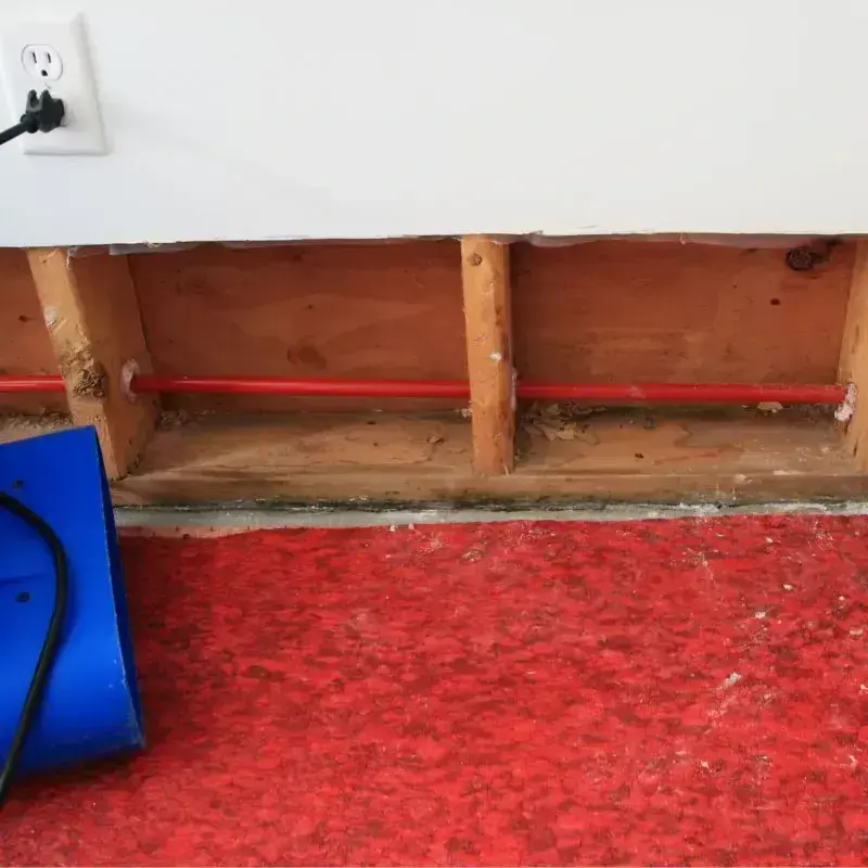Lower drywall cut away above wet carpet with an air mover running in a Monroe Township room